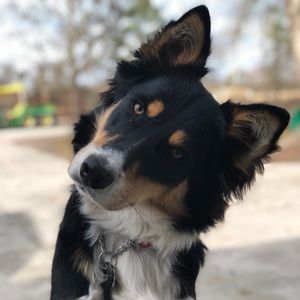 Meet your Posher, Ella